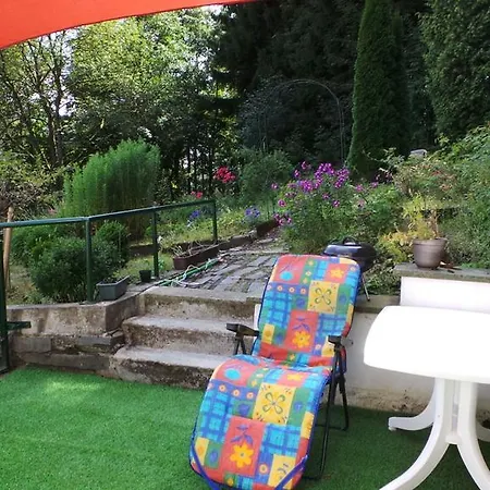 Holiday De Jonge Specht Holiday home