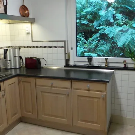 Holiday De Jonge Specht Holiday home *